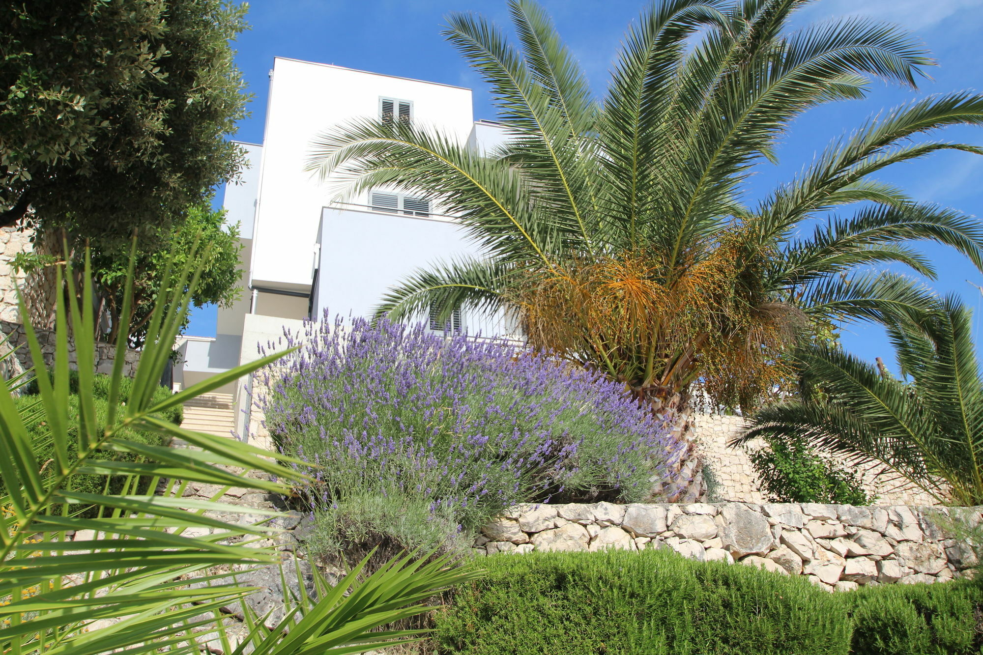 Villa Lavanda Deluxe 로고즈니차 외부 사진